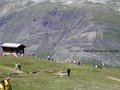 Zermatt Marathon 2007 27328515