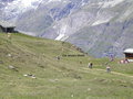 Zermatt Marathon 2007 27328587