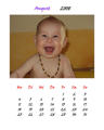 Kalender 2008 35219817