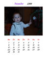 Kalender 2008 35219833