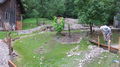 Hochwasser bei meinen Großeltern 28.6.09 62424789