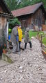 Hochwasser bei meinen Großeltern 28.6.09 62424898