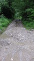 Hochwasser bei meinen Großeltern 28.6.09 62425081