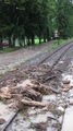 Hochwasser bei meinen Großeltern 28.6.09 62425803