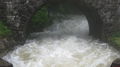 Hochwasser bei meinen Großeltern 28.6.09 62426270