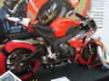 Motorrad Messe 2009 64335700