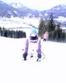 snowborden mid da JASI!!:. woa supi!!.. 70586066