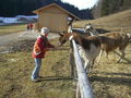 2008_02_17_Lärlkogel 37966638