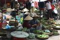 the mystery of Vietnam...2009 62042967