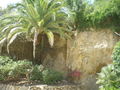 Urlaub Costa Brava 56635940