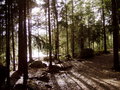 Camping in Nuuksio 27444872