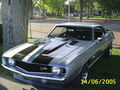 MuscleCars 50554486