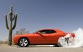 MuscleCars 50554493