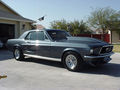 MuscleCars 50554497