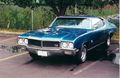 MuscleCars 50554548