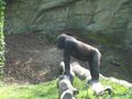 zoo 59772764