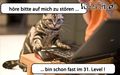 liebe Tiere 67316117