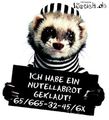 liebe Tiere 67316140