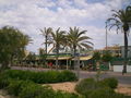 Mallorca 2008 39012577