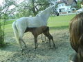 baby´s und mama  61456515