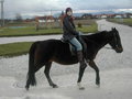 *ReItEn* 26743520