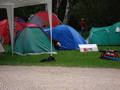 Rock im Park 2007 35528383