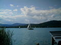 Urlaub am Wörthersee 31049109