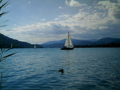 Urlaub am Wörthersee 31049158