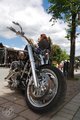 HARLEY TREFFEN 21501386