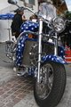 HARLEY TREFFEN 21501423