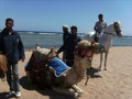 Urlaub Ägypten 2007 33631062