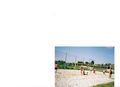 Beachvolleyball  ANONYMEn!!!!!!!!!!!!!!! 41364542