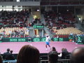 Daviscup Austria Vs Argentinien 15327907