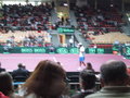 Daviscup Austria Vs Argentinien 15327918