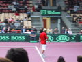 Daviscup Austria Vs Argentinien 15327946