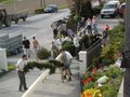 Maibaum für Joschi 27137009