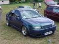 GTI-Treffen 2006 - Reifnitz 6720593