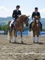 NÖ LM Haflinger und Kleinpferde 31.05.08 39091956