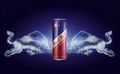 RED BULL 41602933