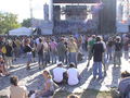 Sziget '08 43666269