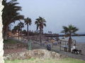 Urlaub Teneriffa 08 44253834