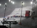 Nightrace Schladming 27.01.2009 52914197