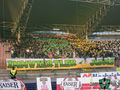 SV Ried!!!!anti lask 69701830