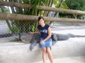 Alligatorfarm 32476572