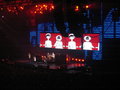 Red Hot Chili Peppers 12208928