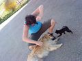 Mein Hund Cora und Nachbarhund =) 58288112