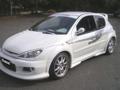 Peugeot 206 Tuning für mei auto 34427305