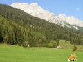 Mein neues Zuhause: Leogang im Pinzgau 29385932