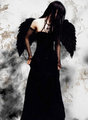 Dark Angel 27869500