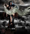 Dark Angel 27869533